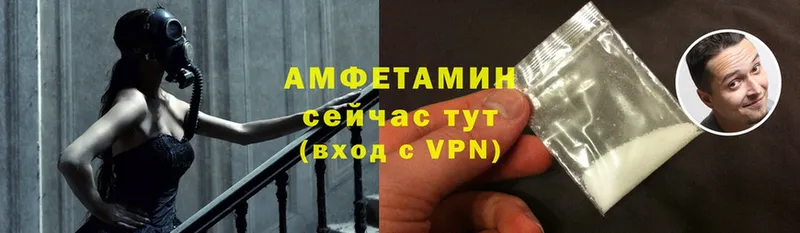 Amphetamine Premium  darknet состав  Каргат 