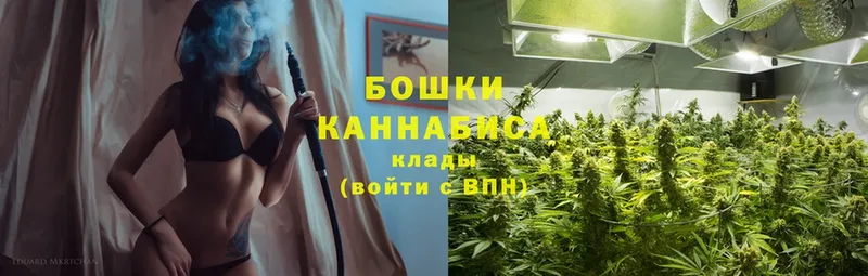 Канабис SATIVA & INDICA  Каргат 